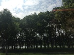2017-09-12_13-48-48_43E270DB-53C6-47F4-86A3-50622CF475A0.jpg