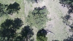 2017-06-12_13-57-38_DJI_0061.jpg