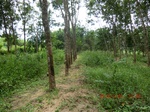 2012-09-26_20-48-26_CIMG0975.JPG