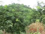 2012-09-26_20-49-21_CIMG0997.JPG