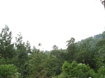 15277IMG_4104.JPG