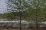 2017-05-12_17-08-00_2017-05-04 23.25.39.jpg