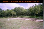 40434ANH354.JPG