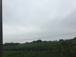 2017-09-10_20-42-07_99AEE8A0-B139-4449-85E5-FB8A829889DE.jpg