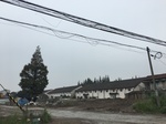 2017-09-10_08-38-28_53D1BDE4-AEC1-4356-B0C4-8B3545BD265F.jpg