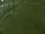 58179CIMG2626.JPG