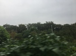 2017-09-10_20-32-28_C5036D4B-9E08-4103-9693-3D7C5A36800D.jpg
