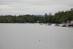2022-06-11_17-54-44_B3128D35-097C-4A9F-9156-9B22A9E548D7.jpeg