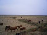 3312R0017346.JPG