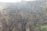 2018-05-31_16-13-22_2018-03-22 18.11.08.jpg