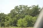 2022-06-11_15-55-52_76EAC25A-ADEF-41AA-8609-F81A00EC8A65.jpeg