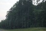 2022-05-26_12-36-55_882B4AAA-5DB2-4AD6-A4C8-EF0226382395.jpeg