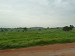 18680P1000518.JPG