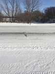 2018-02-13_14-56-12_F8CFB10E-E392-40F3-846D-A587D9E48392.jpg