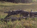 2012-10-04_13-59-44_CO-JF-157_0666.jpg