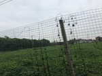 2017-09-10_20-40-46_50D4B299-1E60-4B63-B8AF-7AE1D80C66D3.jpg