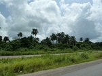 18211P1000047.JPG