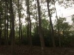 2017-09-11_22-59-00_8F1DBBE7-5D86-495B-A4D0-243A1A622A8A.jpg