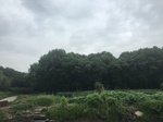 2017-09-10_06-57-56_D7692170-DC8A-4368-A208-015285B26CC8.jpg