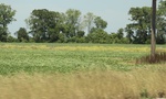 2022-05-26_14-29-01_D14A0B87-2343-404A-8BEC-0A6491CE1831_1_201_a.jpeg