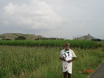 6202037c-irrigated-supplemental-groundwater-sugarcane-millet-sorgum-doublecrop.jpg