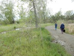 2017-05-29_11-00-00_DSCN9023.JPG