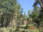 2012-09-15_23-07-41_NM-OT-35-8.jpg