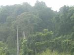 2012-09-08_19-26-13_RIMG0105.JPG