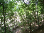 1775124042008(12).JPG