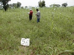 12234GT056_mais_groundnut.JPG