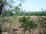 1779824042008(55).JPG