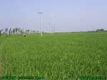 42962007.5.20.st4.JPG