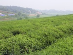 503R0015049.jpg