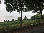 2017-09-10_20-42-12_53C0AB4D-2179-40A4-B52E-D036094927E8.jpg
