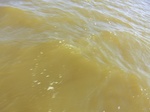 2012-09-21_14-27-08_CIMG0089.JPG