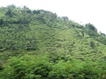 16399IMG_5184.JPG