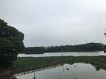 2017-09-10_20-48-57_DF9B92A0-4318-4813-99F1-92C249E160A2.jpg