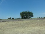 34963DSC01865.JPG