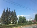 2017-09-12_14-11-06_E7B1A233-B5E8-4796-8809-B8DD1A56E81D.jpg