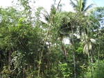 14716IMG_5100.JPG