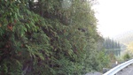 2018-09-06_22-36-09_DSCF5148.JPG