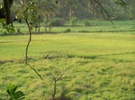 1716819042008(83).JPG