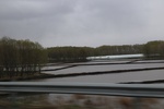 2017-05-12_17-38-14_2017-05-05 19.23.26.jpg