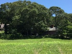 2017-07-03_15-59-12_3.jpg