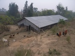 4547RIMG0005-1.JPG