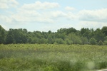 2022-06-12_16-02-10_767DB213-38F6-4B7B-9E5C-6BD6786F6A75.jpeg
