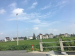 2017-09-12_13-44-22_DA479DC4-DB6E-462B-81C5-8E7A6C814189.jpg