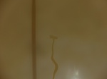 58527CIMG2977.JPG