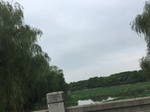2017-09-10_20-50-59_4A17FA9D-CA9B-4043-8746-353EC553335E.jpg