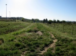 2017-06-05_14-35-23_field photo east May'17.JPG